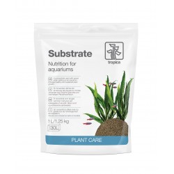 Substrat 1L